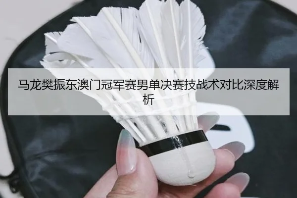 马龙樊振东澳门冠军赛男单决赛技战术对比深度解析